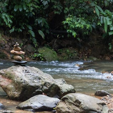 Rain Forest Guest House And Jungle Trekking Bukit Lawang Eksteriør bilde