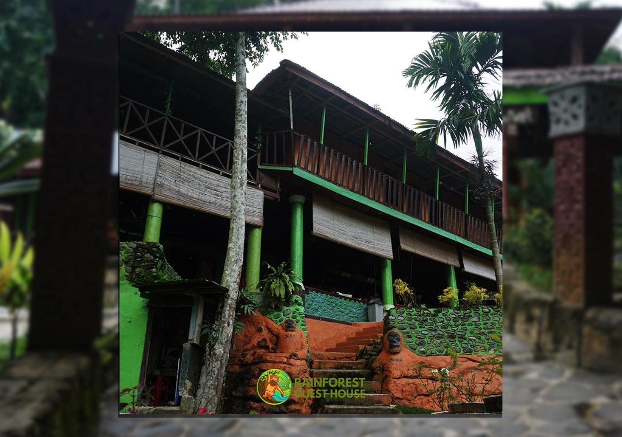 Rain Forest Guest House And Jungle Trekking Bukit Lawang Eksteriør bilde