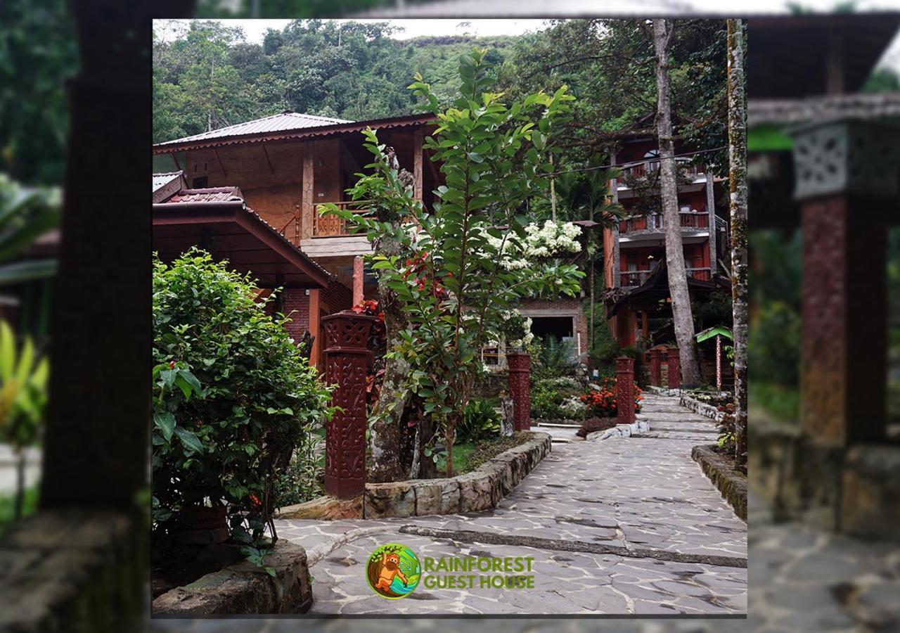 Rain Forest Guest House And Jungle Trekking Bukit Lawang Eksteriør bilde