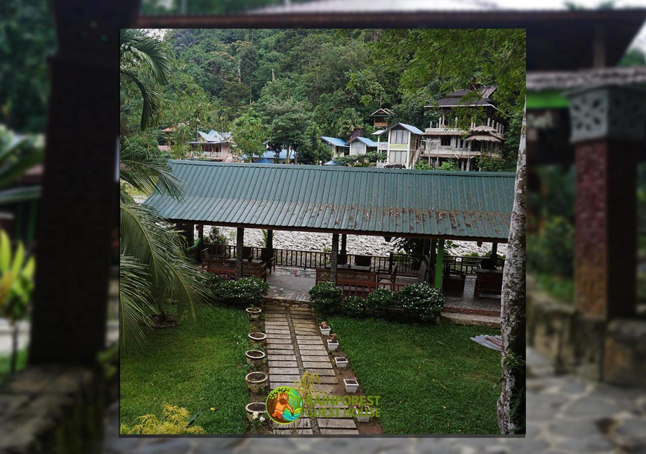 Rain Forest Guest House And Jungle Trekking Bukit Lawang Eksteriør bilde