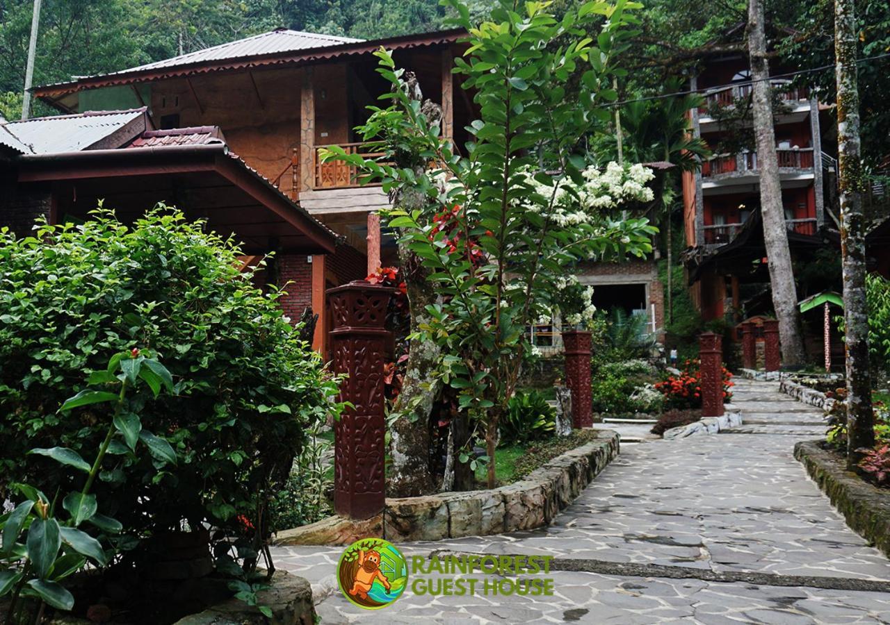 Rain Forest Guest House And Jungle Trekking Bukit Lawang Eksteriør bilde
