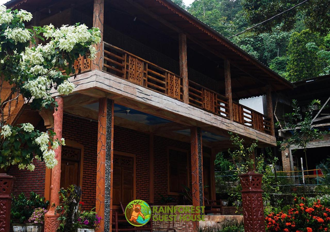 Rain Forest Guest House And Jungle Trekking Bukit Lawang Eksteriør bilde