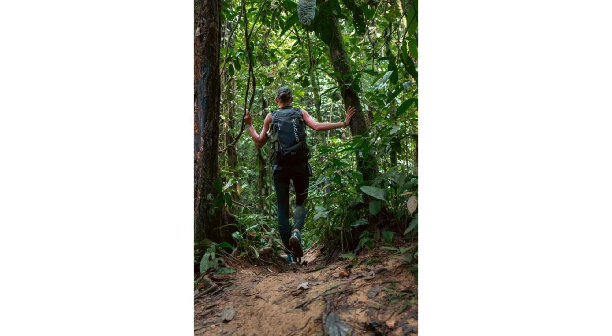 Rain Forest Guest House And Jungle Trekking Bukit Lawang Eksteriør bilde
