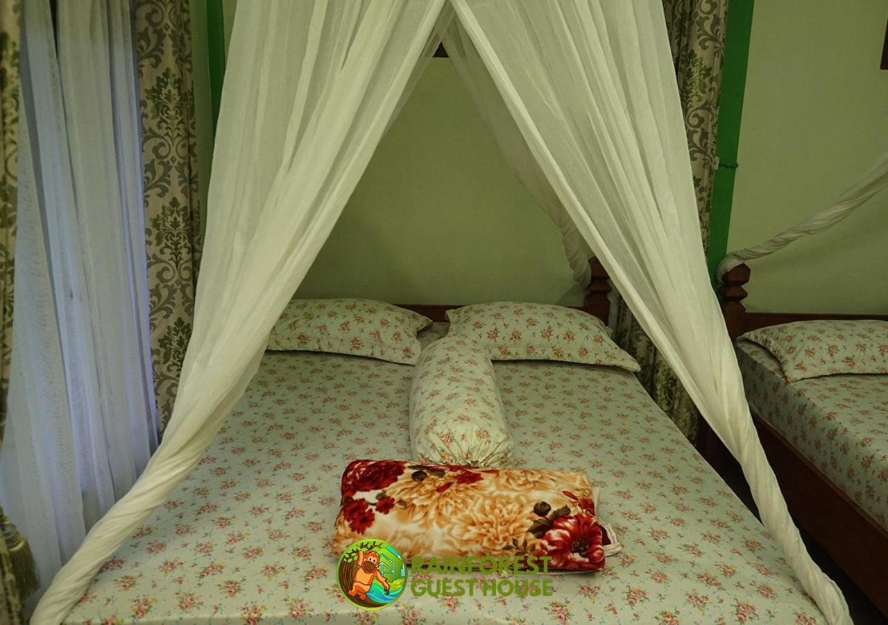 Rain Forest Guest House And Jungle Trekking Bukit Lawang Rom bilde