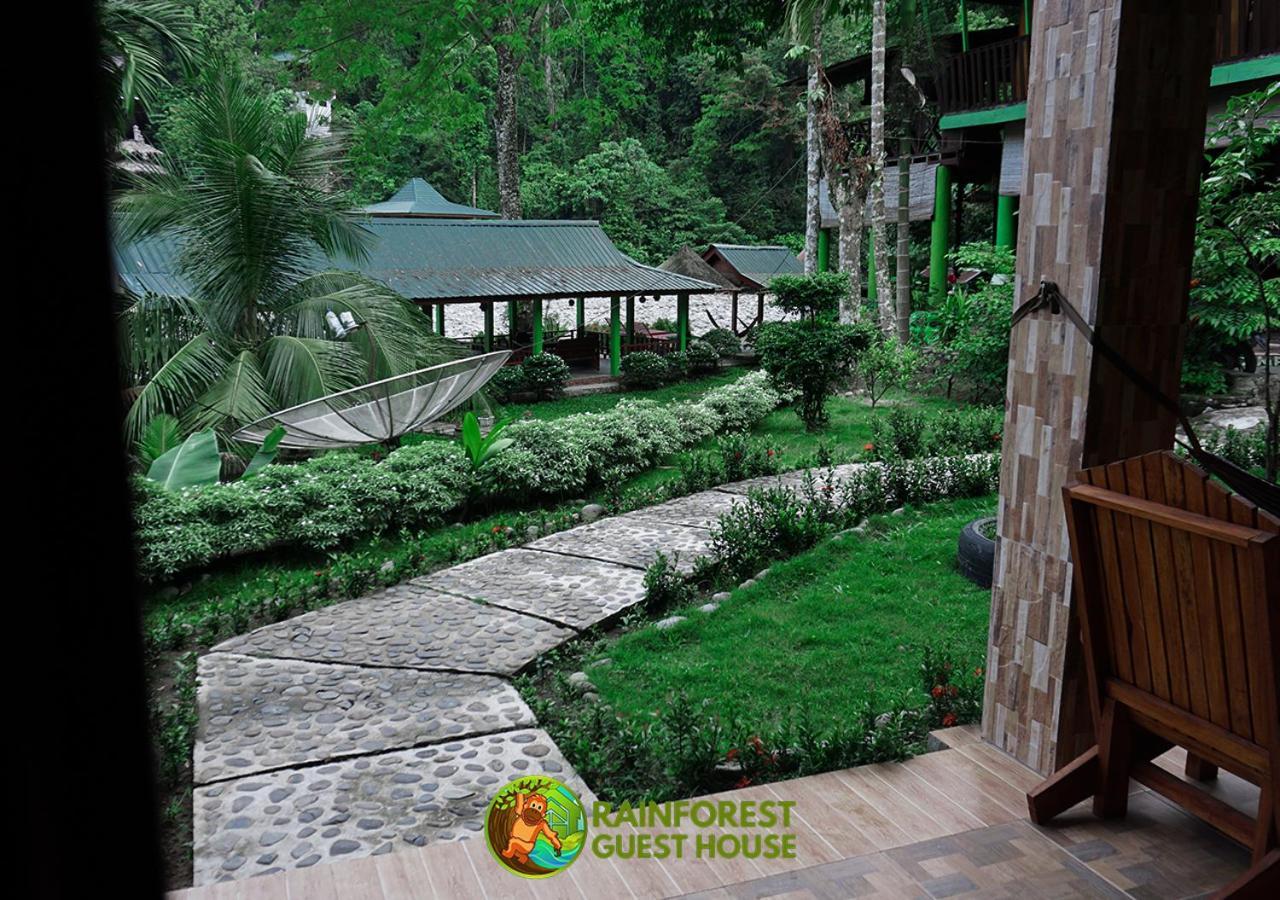 Rain Forest Guest House And Jungle Trekking Bukit Lawang Rom bilde